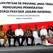 Presiden Jokowi Apresiasi Peran Petani Tingkatkan Produksi Jagung