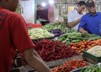 Harga Bahan Pokok Diawal 2024 Masih Stabil dan Stok Aman