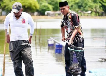Hasil Produksi Budidaya Ikan di Kota Tangerang Naik Signifikan