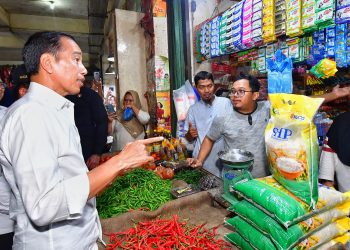 Kunjungi Pasar Gelugur Rantauprapat, Presiden Jokowi Cek Stabilitas Harga Pangan