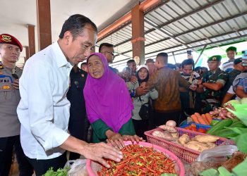 Kunjungi Pasar Sebukit Rama, Presiden Jokowi: Harga Baik dan Stabil
