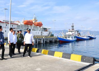 Presiden Resmikan Rehabilitasi Pelabuhan Wani dan Pantoloan, Tingkatkan Mobilitas dan Ekonomi Sulteng