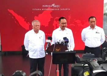 Presiden Targetkan Pembangunan IKN Jadi Model Transformasi Bekerja dan Percepat Lahan Investasi