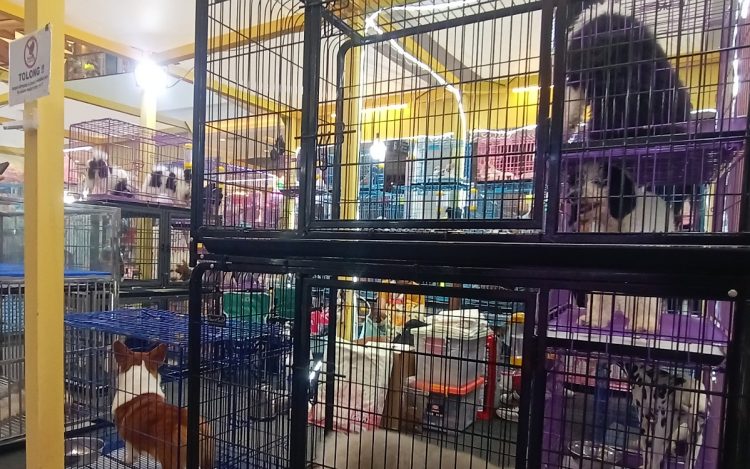 module: NormalModule; ?touch: (-1.0, -1.0); ?modeInfo: ; ?sceneMode: Hdr; ?cct_value: 0; ?AI_Scene: (-1, -1); ?aec_lux: 84.0; ?