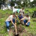 Dukung Konservasi Hutan dan Daerah Tangkapan Air, ABC Lanjutkan Program Penanaman 1.000 pohon