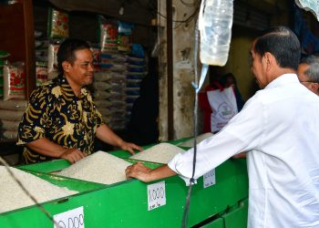 Tinjau Pasar Baru Karawang, Presiden Jokowi: Harga Baik