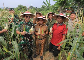 Pj Walikota Tangerang: Manfaatkan Lahan Kosong untuk Tanaman Produktif