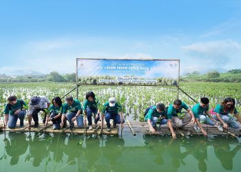 Alam Sutera Tanam 10 Ribu Bibit Mangrove di Ketapang Urban Aquaculture