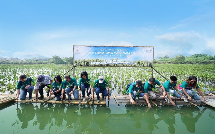 Suvarna Sutera menanam bibit mangrove