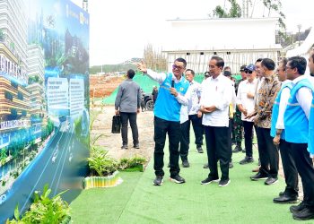 Groundbreaking PLN Hub, Presiden: Energi di IKN Harus 100 Persen Hijau