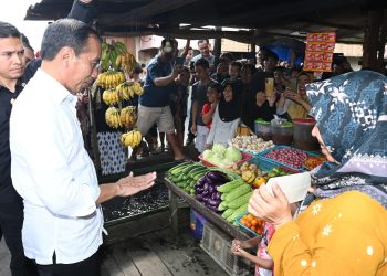 Presiden Jokowi Cek Harga di Pasar Pata Katingan