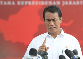 Presiden Jokowi Pimpin Rapat Terkait Budidaya Kratom di Indonesia