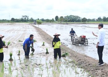 Respons Potensi Kekeringan Panjang, Presiden Tinjau Pompanisasi di Kotawaringin Timur
