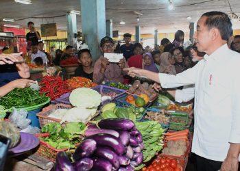 Tinjau Pasar di Kotawaringin Timur, Presiden Jokowi Pastikan Harga Baik dan Stabil