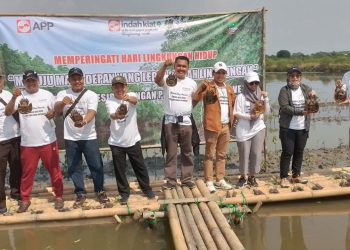 Peringati Hari Lingkungan Hidup Sedunia, PT IKPP Tangerang Tanam Ribuan Bibit Mangrove Langka
