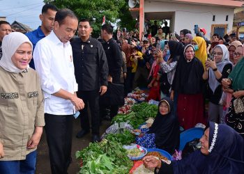 Hari Kedua di Sulsel, Presiden dan Ibu Iriana Kunjungi Pasar Cekkeng Bulukumba