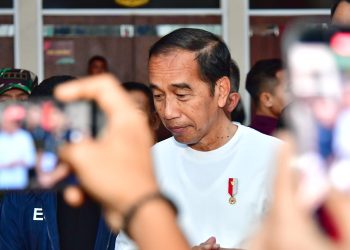 Presiden Jokowi Ajak PEA Bangun Pusat Keuangan di IKN dan Investasi di Ekosistem Kendaraan Listrik