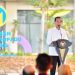 Presiden Jokowi Resmikan Operasional Kawasan Industri Terpadu Batang