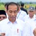 Presiden Jokowi Sebut Potensi IKN Dongkrak Pertumbuhan Ekonomi Sektor Pertanian bagi Daerah Sekitar