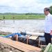 Presiden Jokowi dan Ibu Iriana Tinjau Pelaksanaan Bantuan Pompa Irigasi di Sulawesi Selatan
