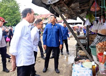 Presiden dan Ibu Iriana Cek Harga Bahan Pokok di Pasar Sentral Palakka