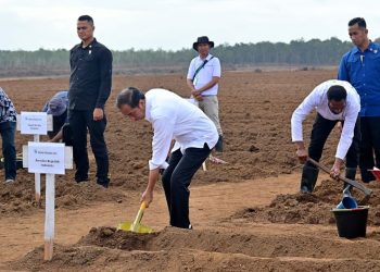 Tanam Tebu Perdana di Merauke, Presiden: Pemerintah Fokus Kembangkan Ketahanan Pangan