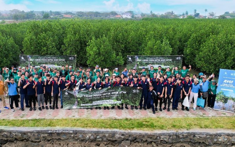 Alam Sutera tanam bibit mangrove di Ketapang Urban Culture. (IST)