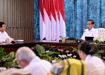 Presiden Terpilih Prabowo: Saya Tegaskan Kita Lanjutkan IKN, Kalau Bisa Percepat