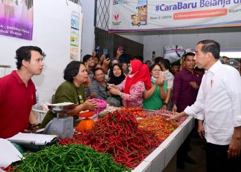 Presiden Jokowi Tinjau Stabilitas Harga di Delimas Pasar Raya Lubuk Pakam