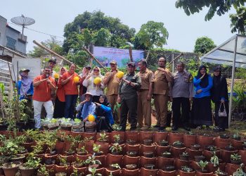 Kerjasama PT Indah Kiat dan KWT Nerada Berbuah Manis, Setahun Bisa Panen Golden Melon