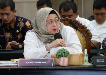 Hadiri Rakor Pengendalian Inflasi dan Digitalisasi Daerah se-Banten, Wabup Intan: Semua Stakeholder Harus Bersinergi