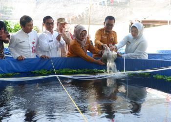 Dukung Ketahanan Pangan, Wabup Intan Serahkan Bantuan Sarana Perikanan
