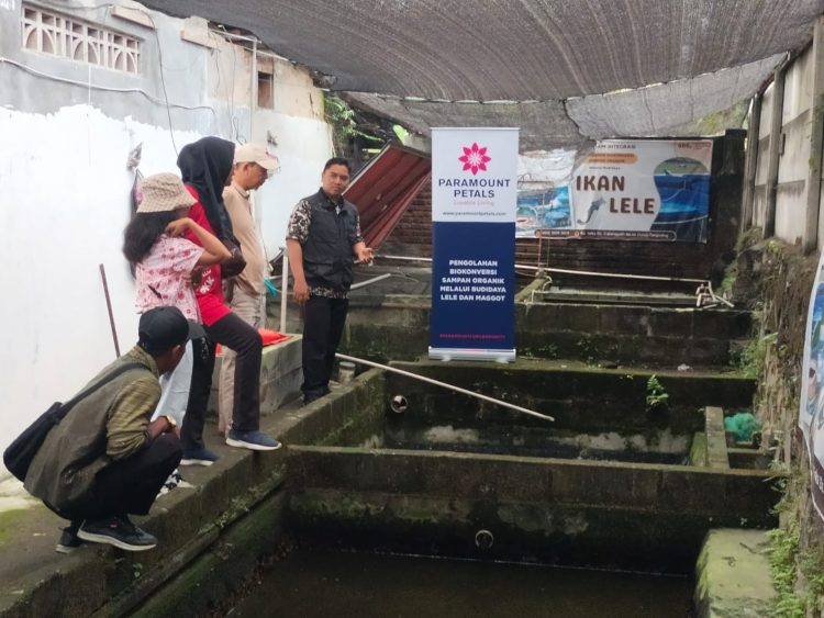 Pelatihan budidaya lele dan maggot.