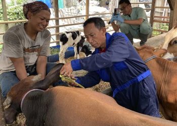 Lima Tips Memilih Hewan Kurban yang Sehat dan Sesuai Syariat