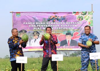 Panen Perdana Semangka di Mauk, Bupati Maesyal Rasyid Serahkan Bantuan Traktor