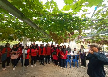 KWT Binaan PT IKPP Tangerang Diajak Belajar Pertanian ke Al Markaz Komobid Agro Wisata Banten 