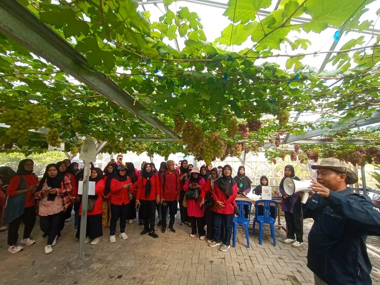 module: NormalModule;
touch: (-1.0, -1.0);
modeInfo: ;
sceneMode: Auto;
cct_value: 0;
AI_Scene: (-1, -1);
aec_lux: 113.0;