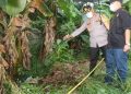 Mayat Pria Tanpa Identitas Ditemukan di Kebun Pisang Bikin Geger Warga