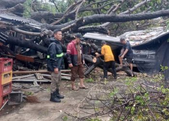 Hujan Deras Landa Kota Tangerang, Dua Pohon Tumbang Rusak Bengkel dan Mobil