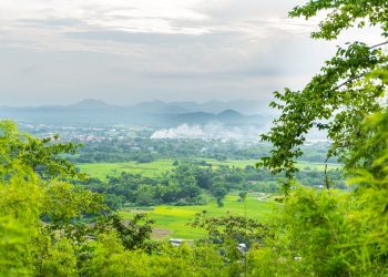 Environment (Lingkungan) Freepik