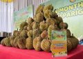 Pengunjung Serbu Rame – Rame Belah Duren di Tangcity Mall
