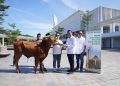 Sinar Mas Land Tebar 482 Hewan Kurban dan Gaungkan Kurban Tanpa Sampah Plastik