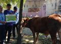 Momentum Iduladha 2026, PT IKPP Tangerang Mill Distribusikan Puluhan Hewan Kurban untuk Warga