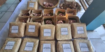 Sebar Puluhan Kambing, Paramount Land Siapkan Besek Ramah Lingkungan untuk Distribusi Daging Hewan Kurban