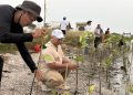 Antisipasi Tsunami dan Megathrust, Aktivis Lingkungan Gencarkan Penanaman Mangrove di Pesisir Utara Tangerang