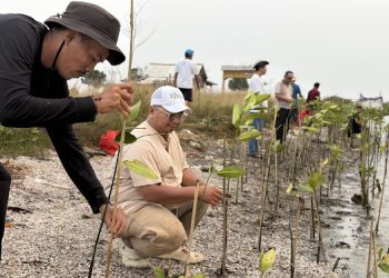 Antisipasi Tsunami dan Megathrust, Aktivis Lingkungan Gencarkan Penanaman Mangrove di Pesisir Utara Tangerang