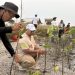 Antisipasi Tsunami dan Megathrust, Aktivis Lingkungan Gencarkan Penanaman Mangrove di Pesisir Utara Tangerang
