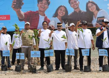 Program InJourney Green, Angkasa Pura Tanam Puluhan Ribu Mangrove di Tangerang