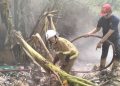 Pembakaran Kasur Bekas Picu Kebakaran Lahan Sampah di Karang Tengah Kota Tangerang