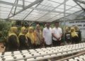 Kisah Inspiratif Kampung Jimpitan Batuceper: Modal Rp500 Sehari Jadi Percontohan Nasional